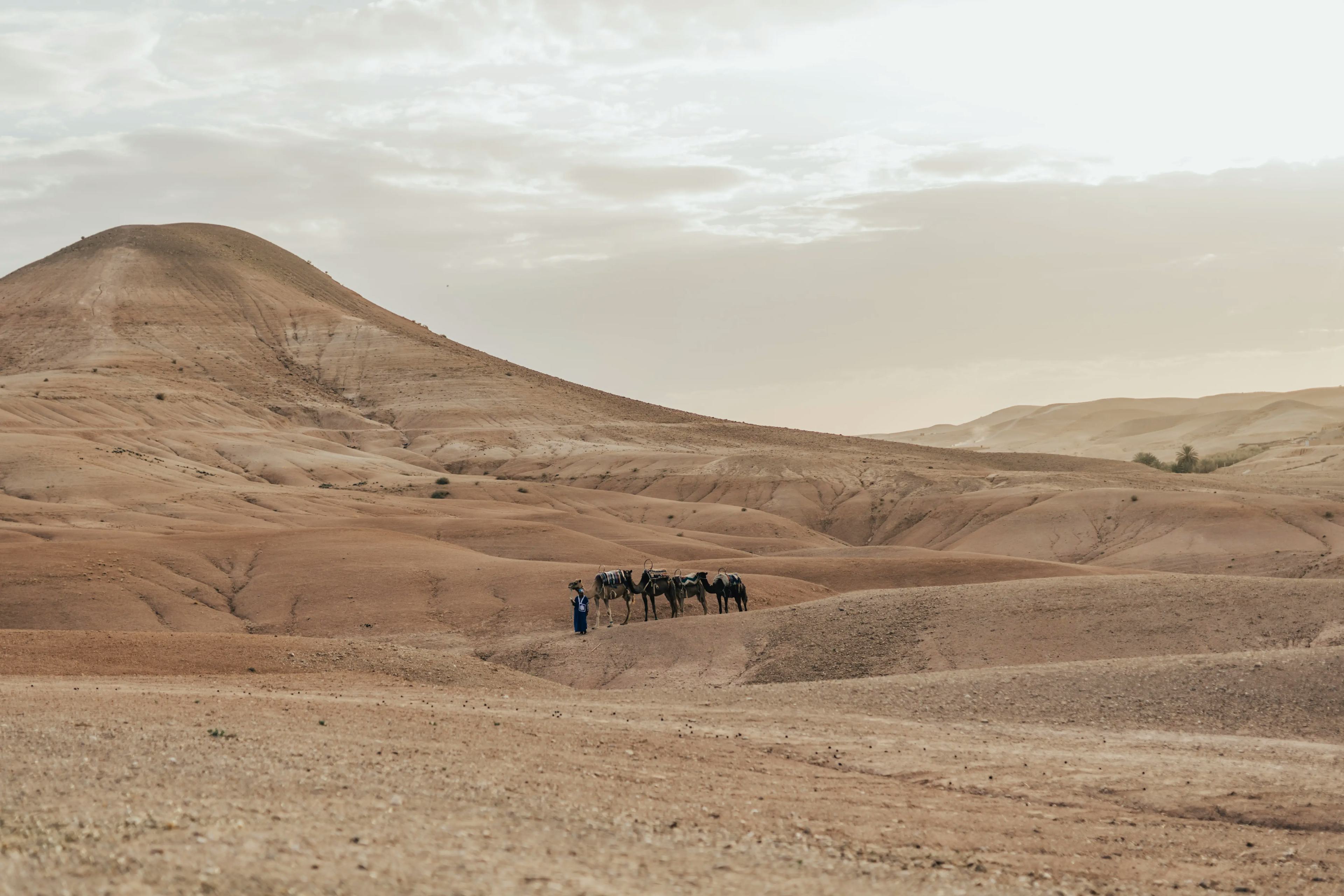 Morocco desert wedding venue