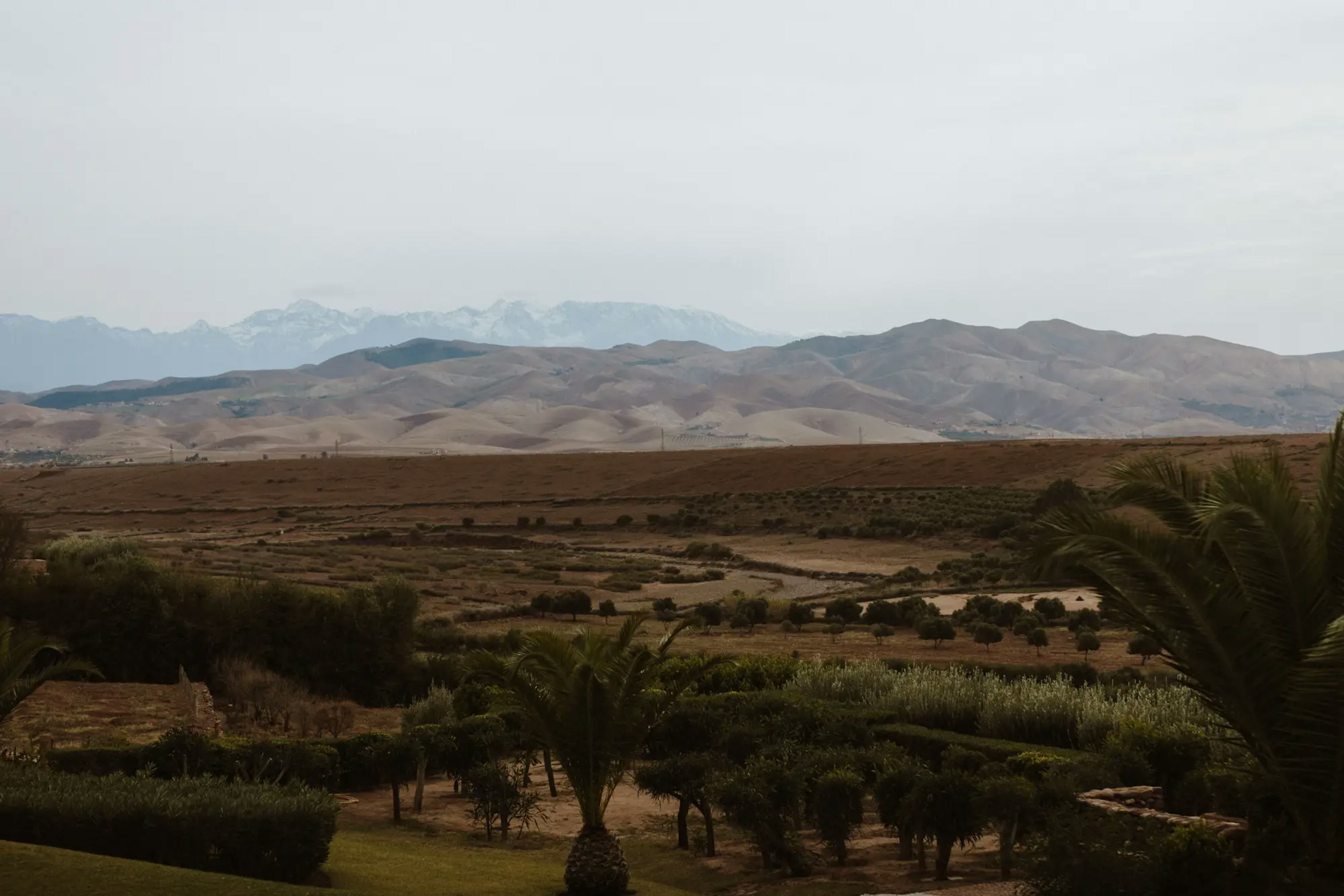 Marrakech wedding planner