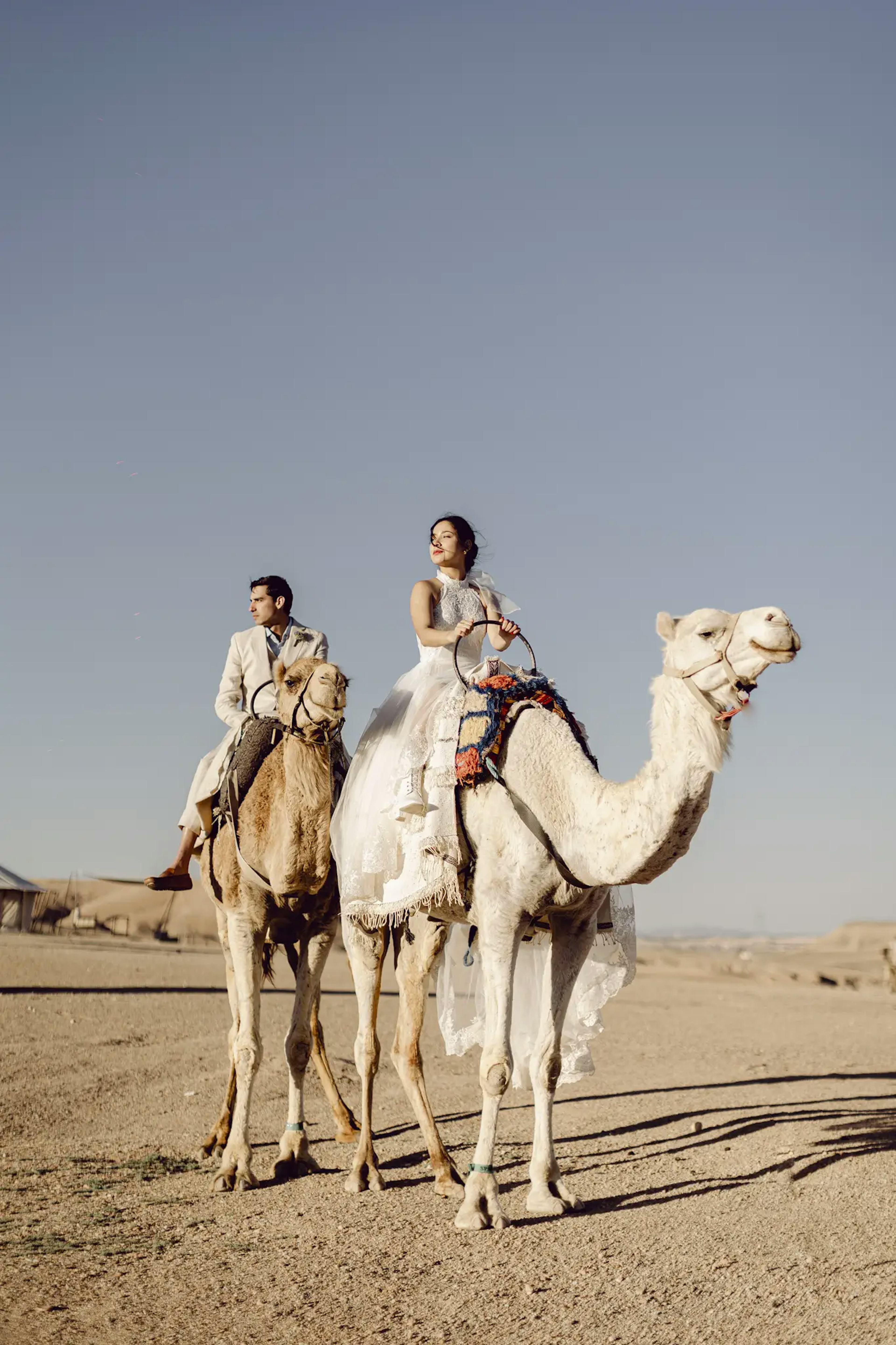 Camel wedding photos