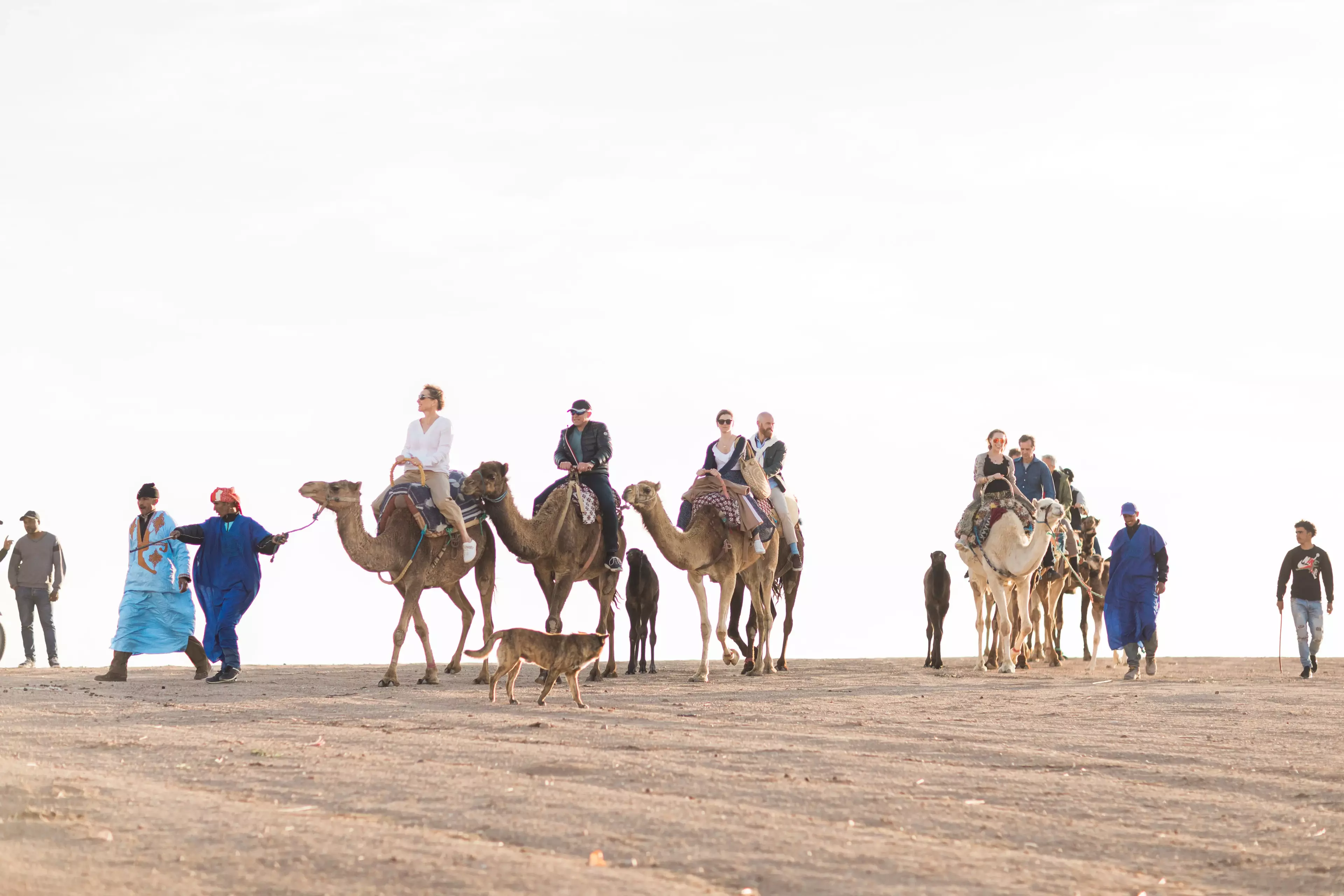 Camel riding in Marrakech