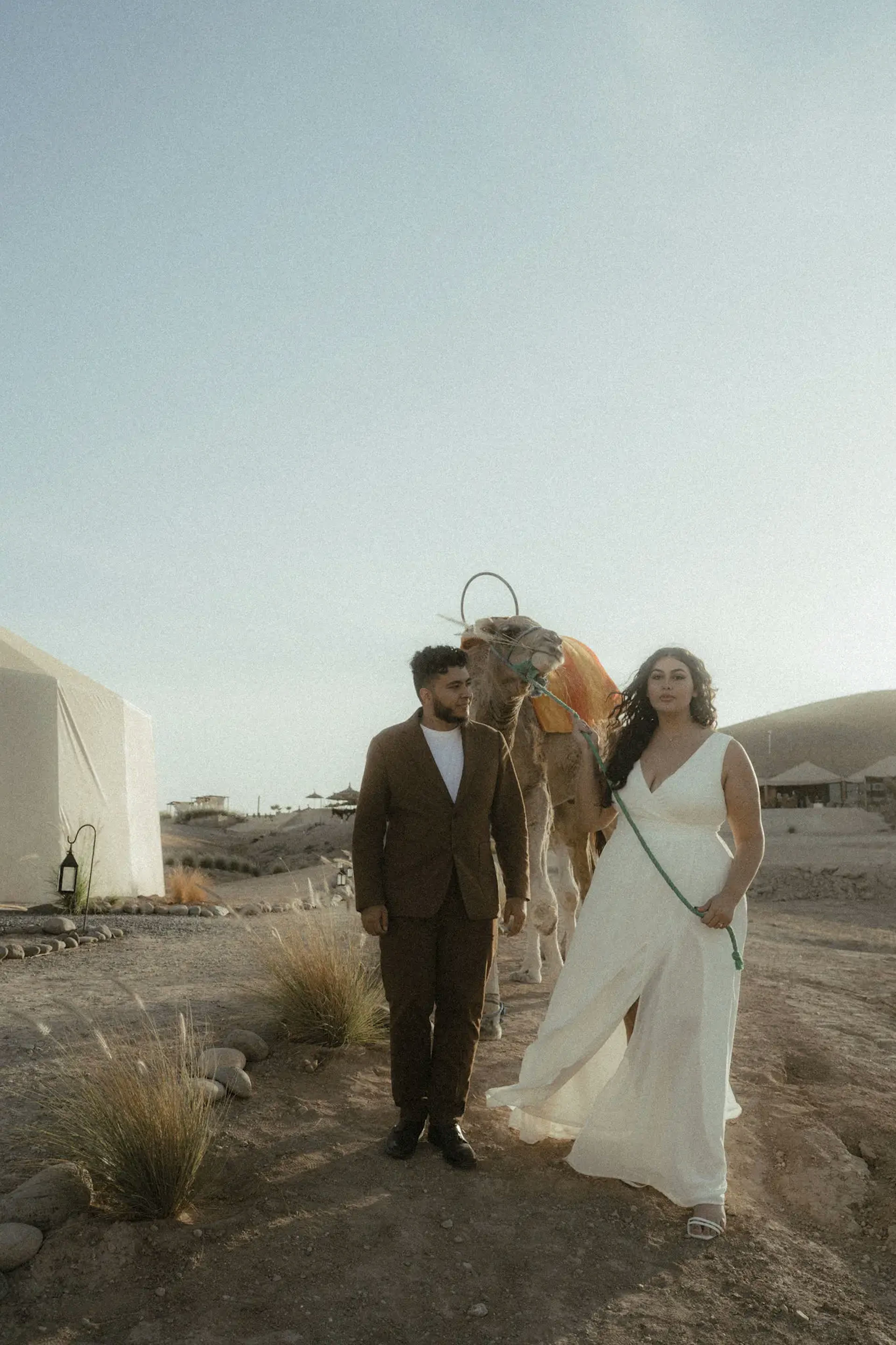 Photo shooting of the spouses with a camel in the desert