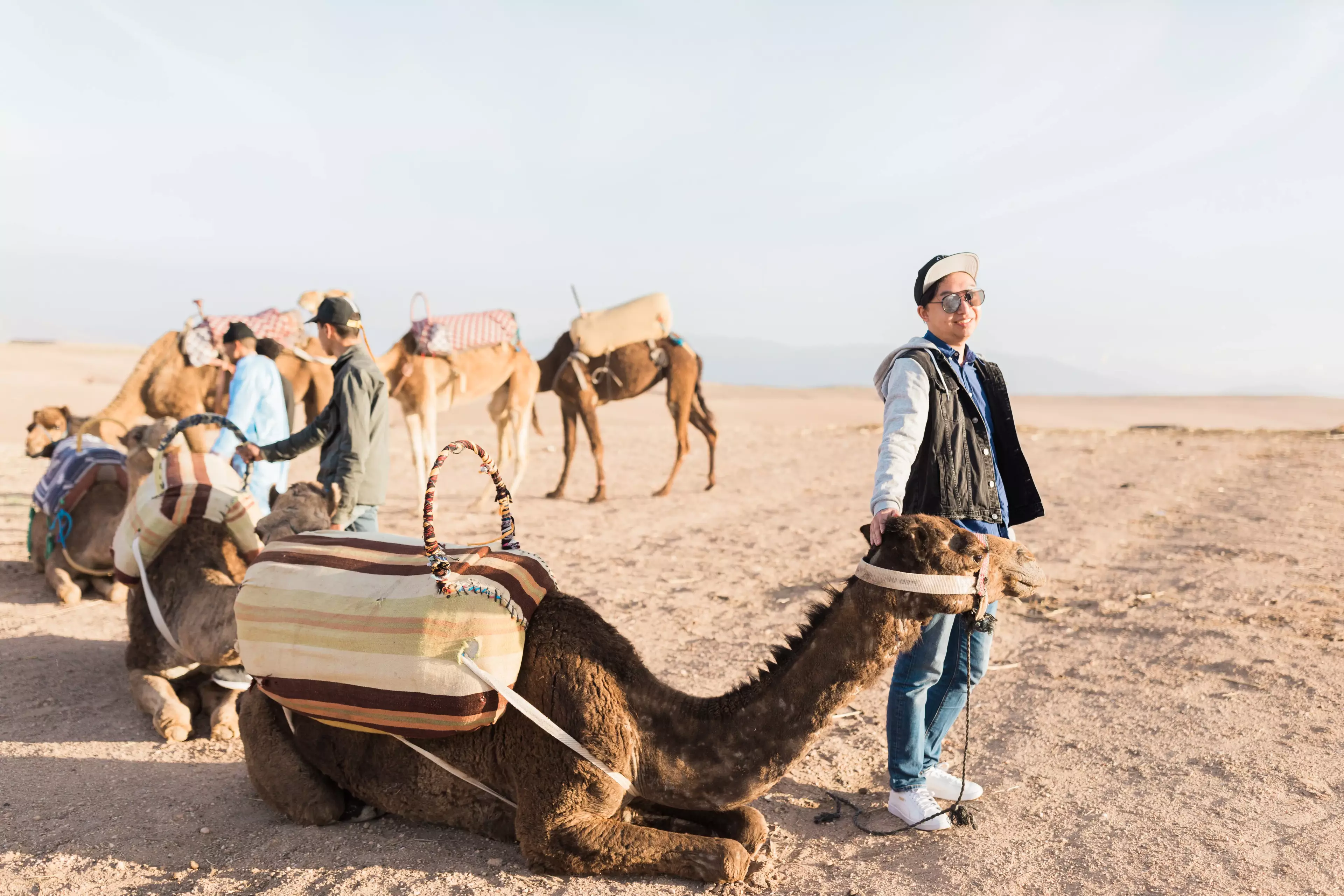 Event entertainment camels Marrakech