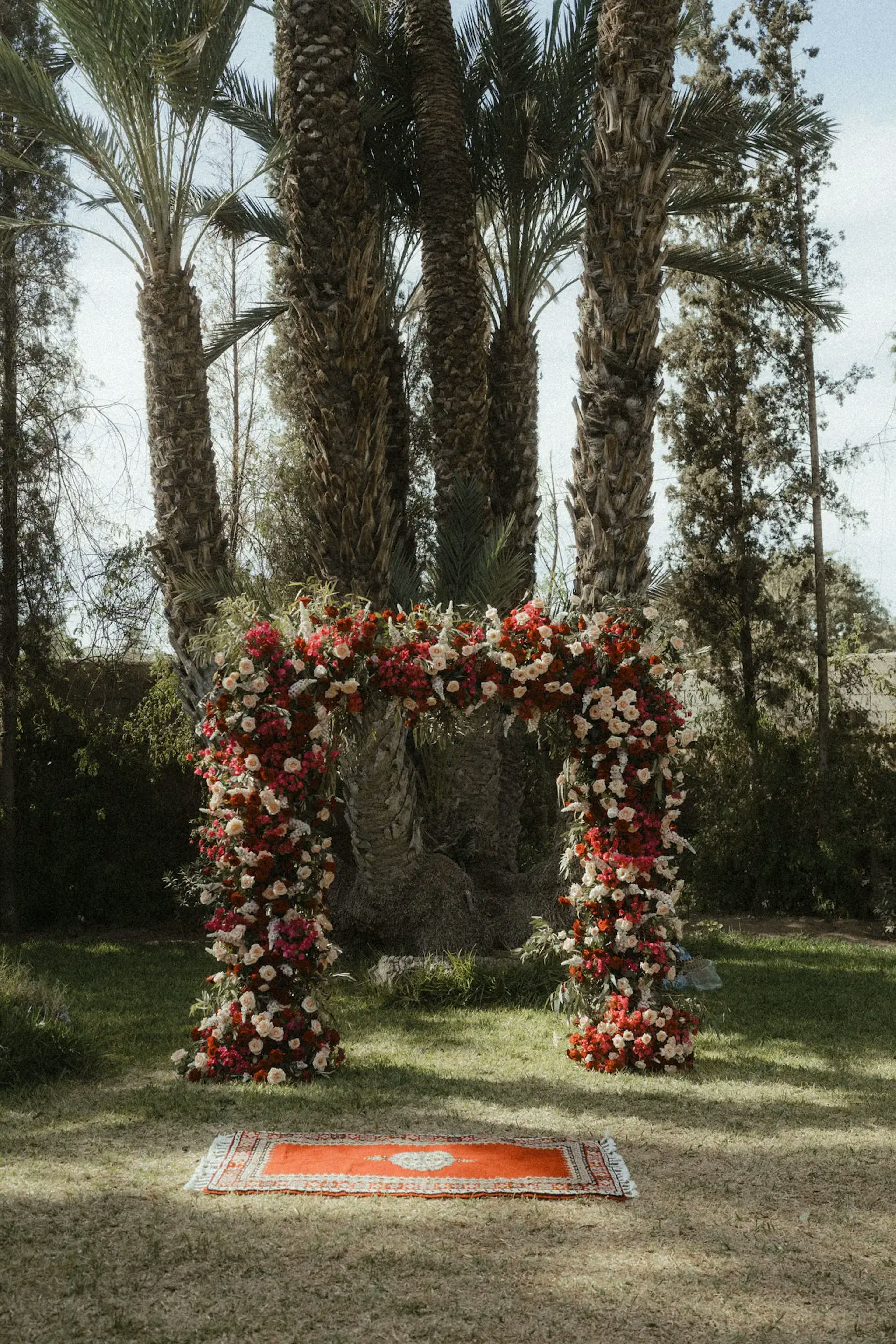 Ark for the ceremony 