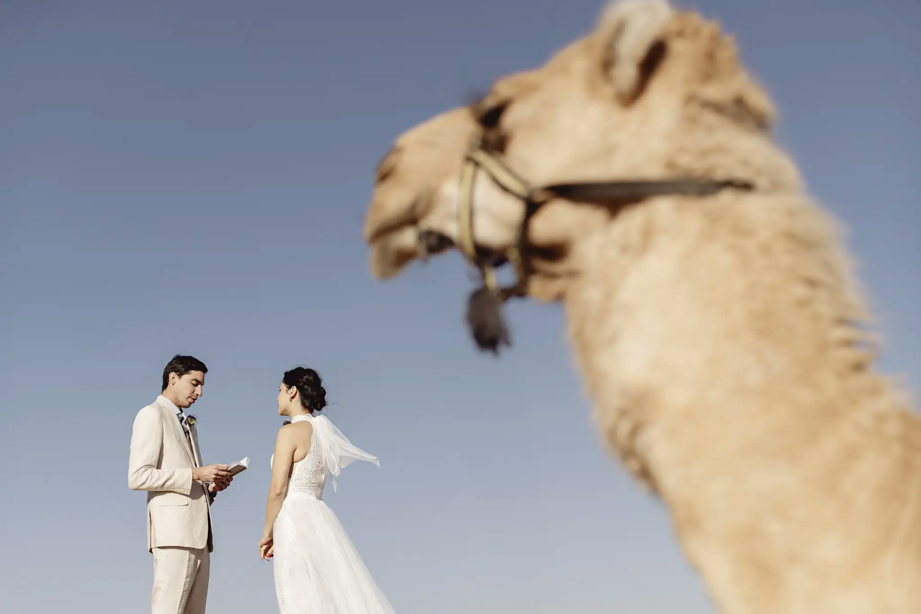 Adventurous Morocco wedding