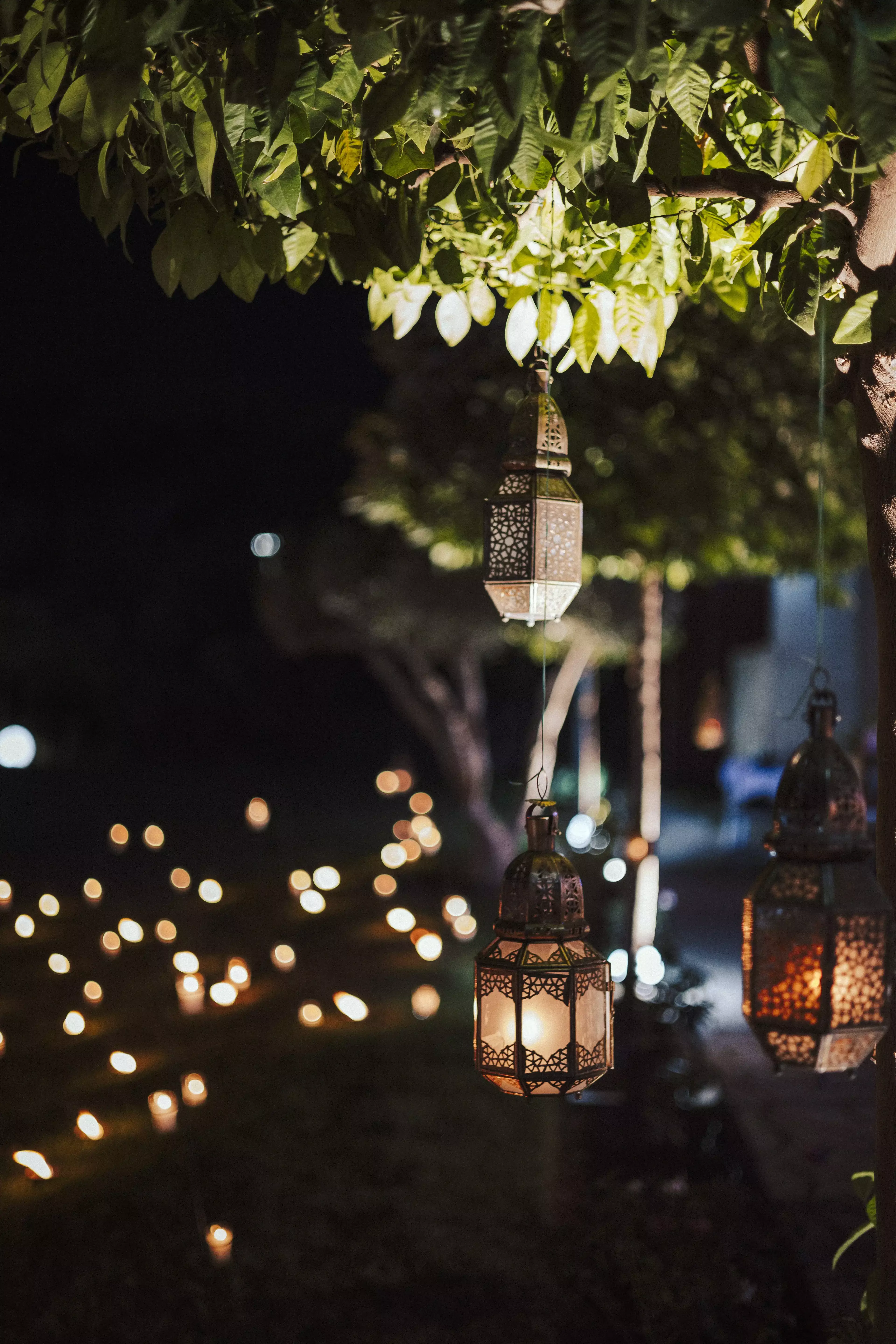 Light decor of the reception area