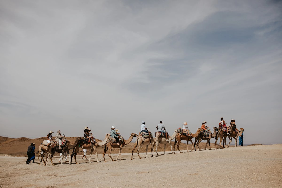 Les 10 meilleures activités que vos invités vont adorer pour votre mariage à Marrakech