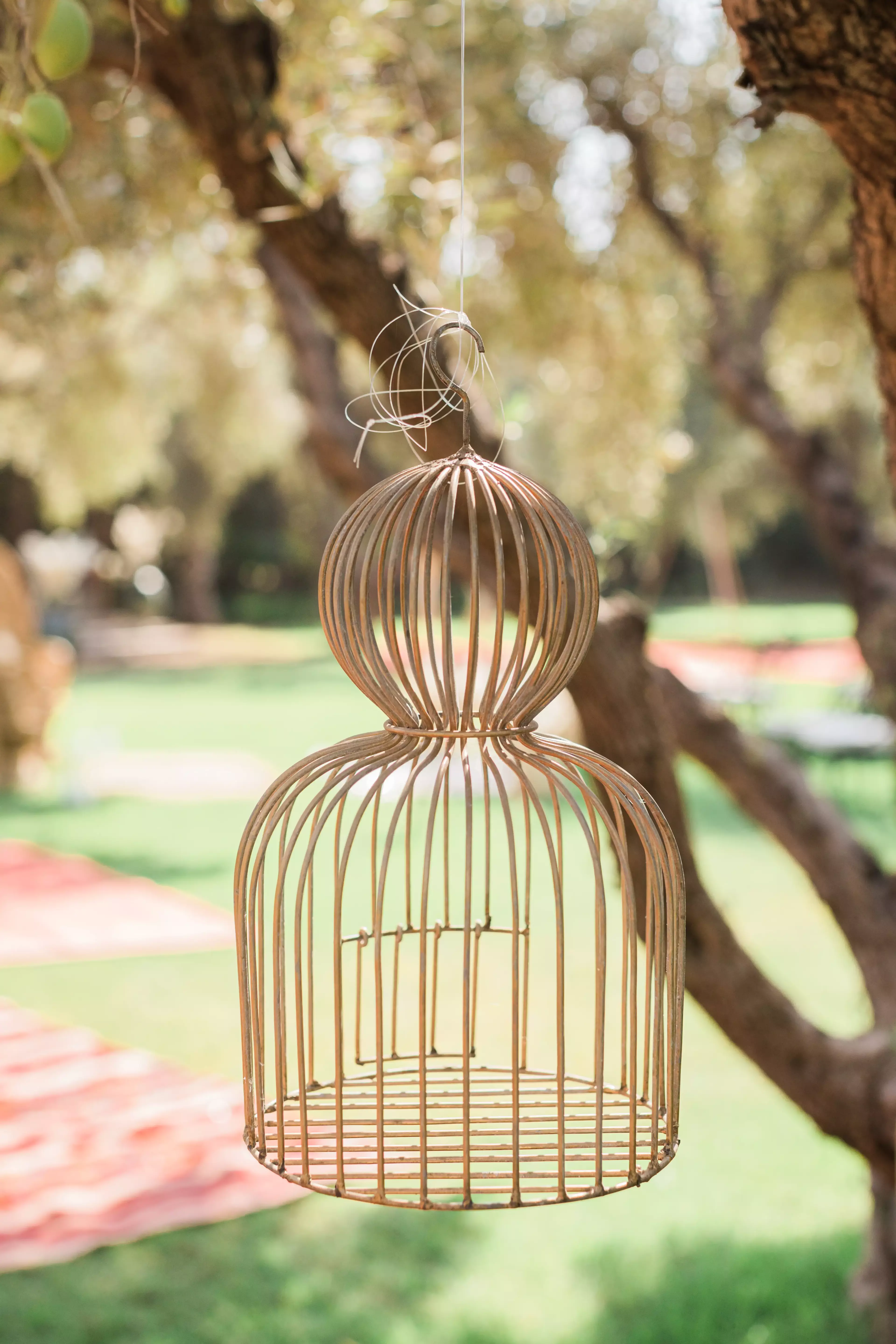 elopement à marrakech