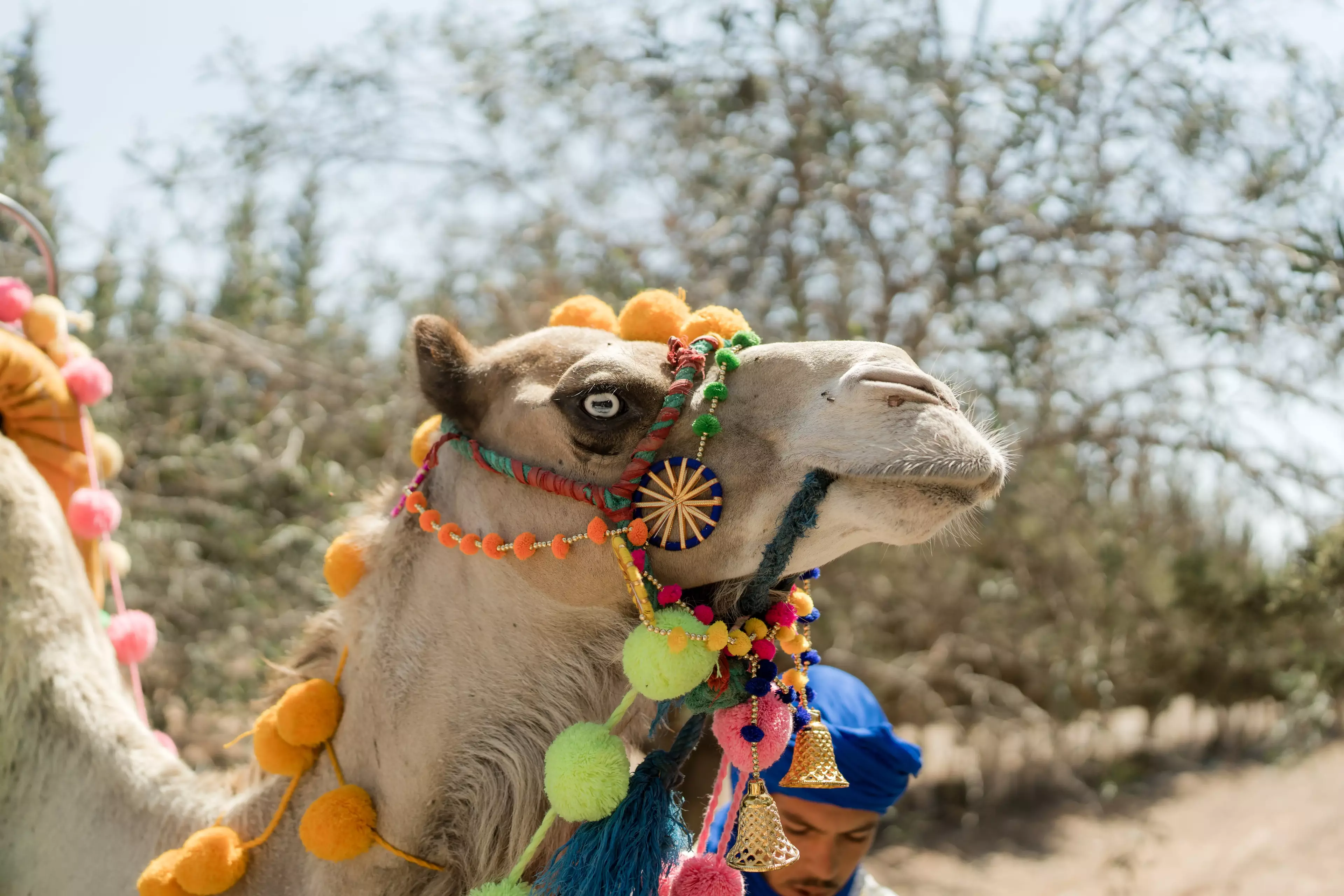 Morocco destination wedding