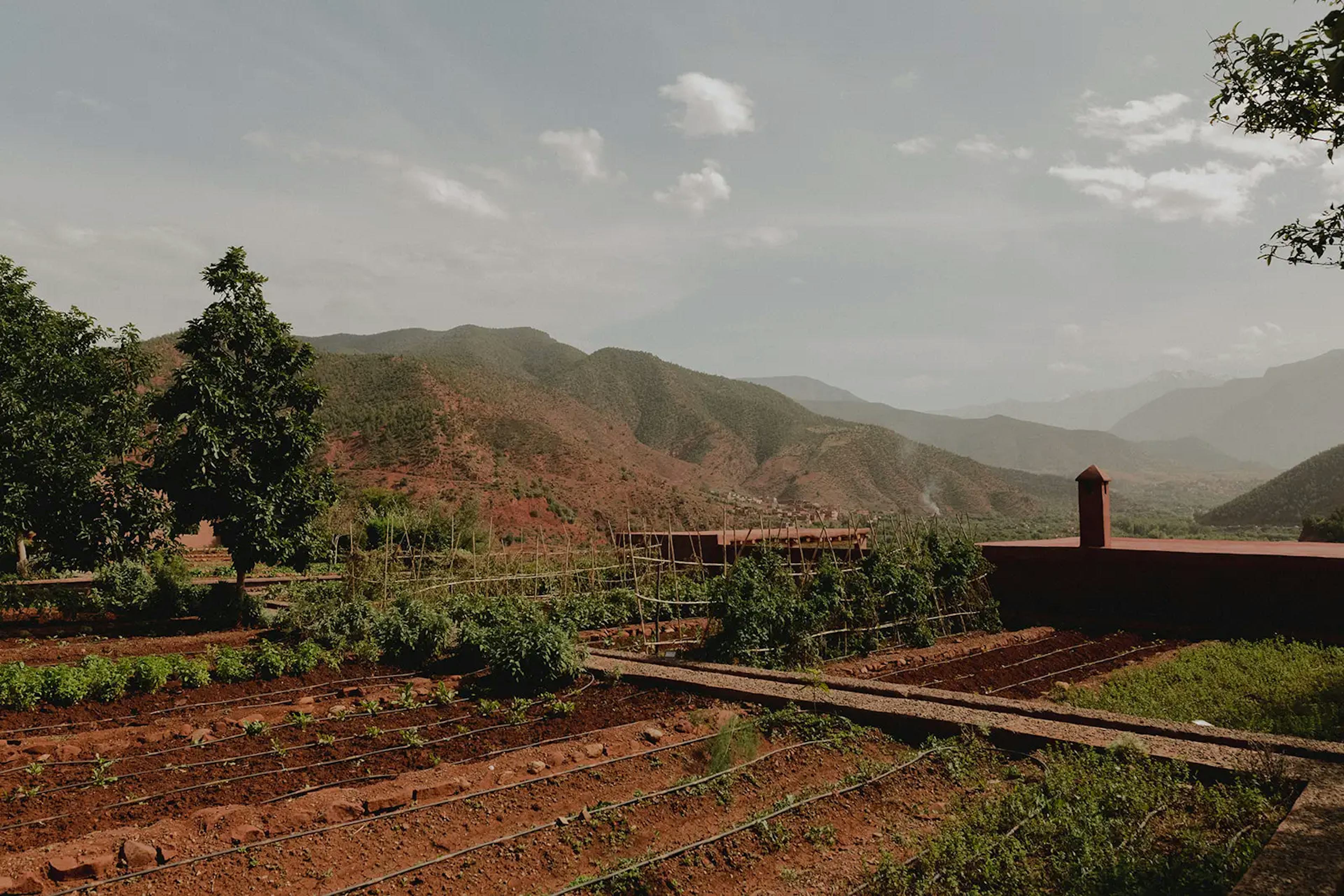 Marrakech scenery of Atlas mountains