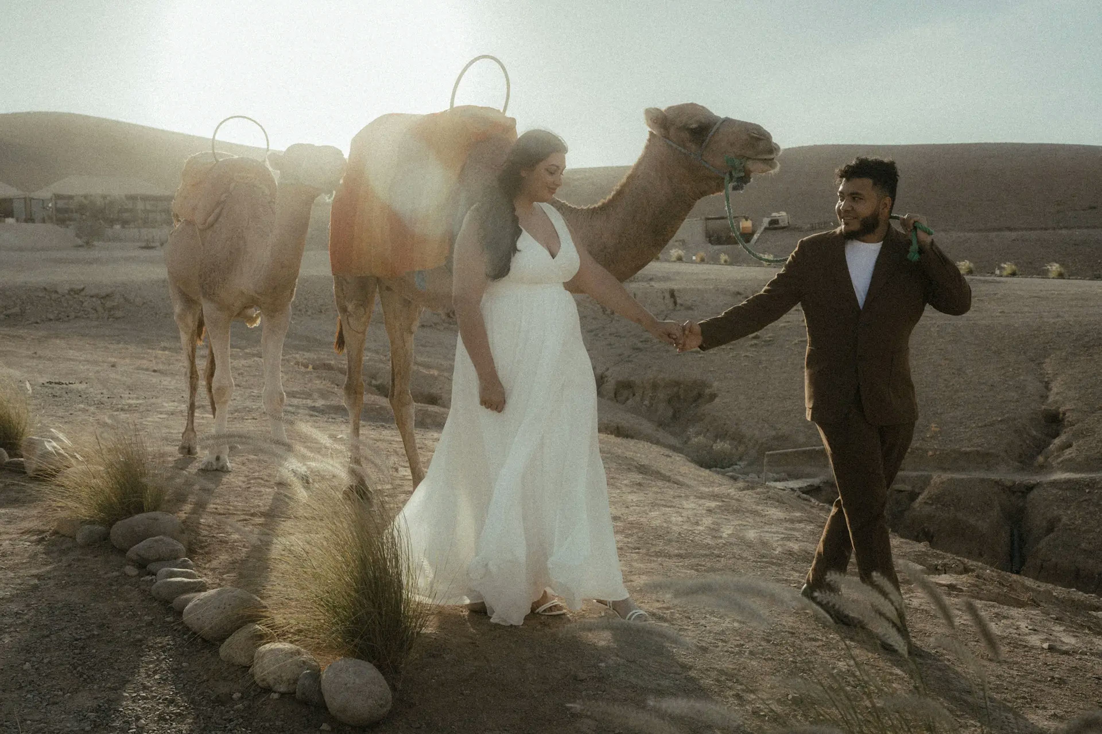 Photo shooting of the spouses with a camel in the desert