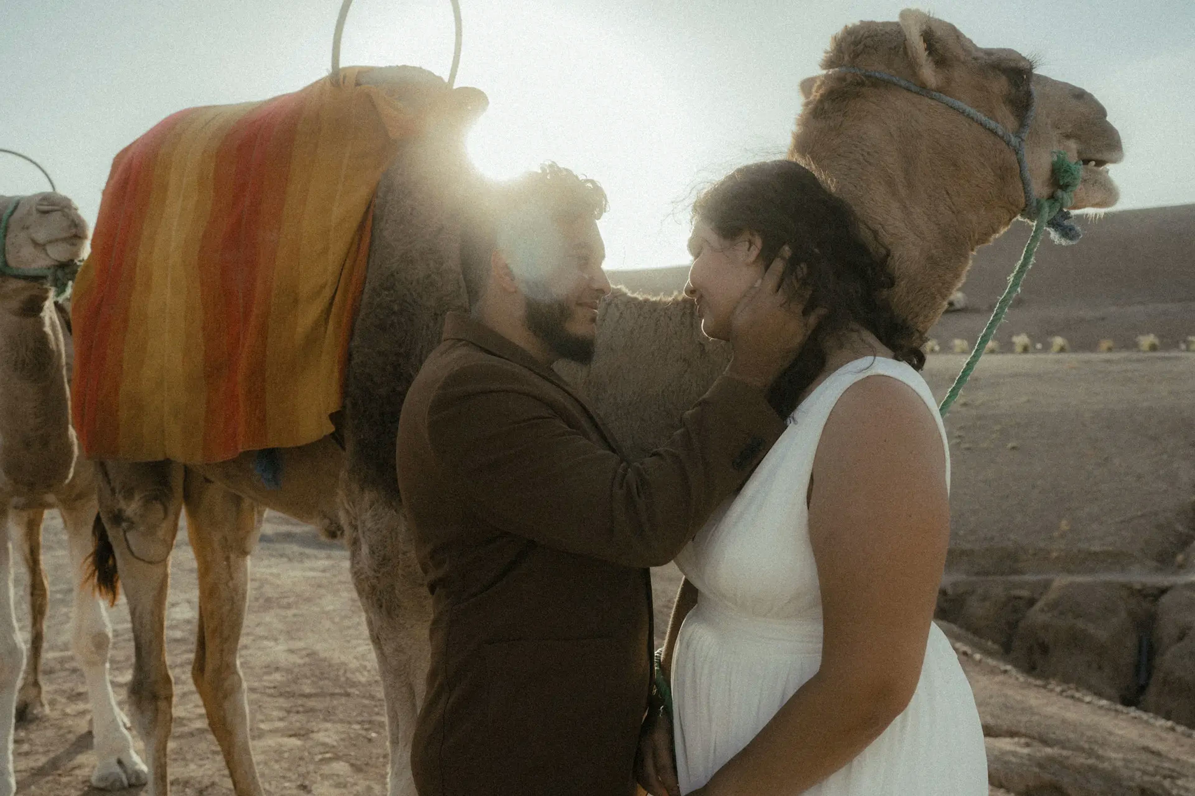 Photo shooting of the spouses with a camel in the desert