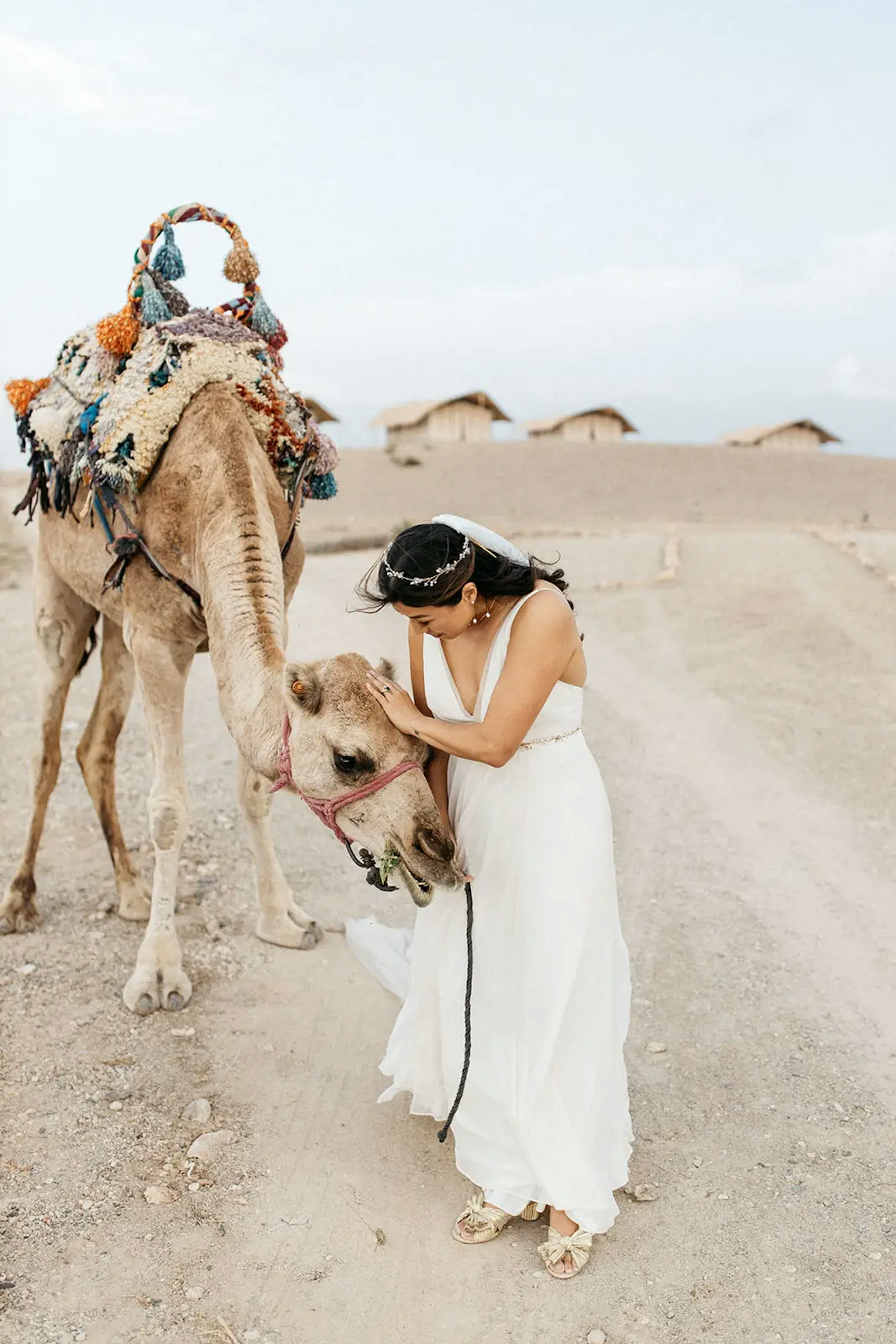 Bride with camel in Agafay desert